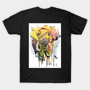 Elephant in the Shadows T-Shirt